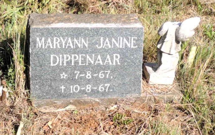 DIPPENAAR Maryann Janine 1967-1967