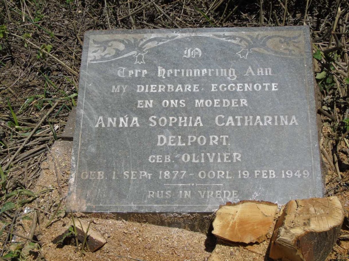 DELPORT Anna Sophia Catharina nee OLIVIER 1877-1949