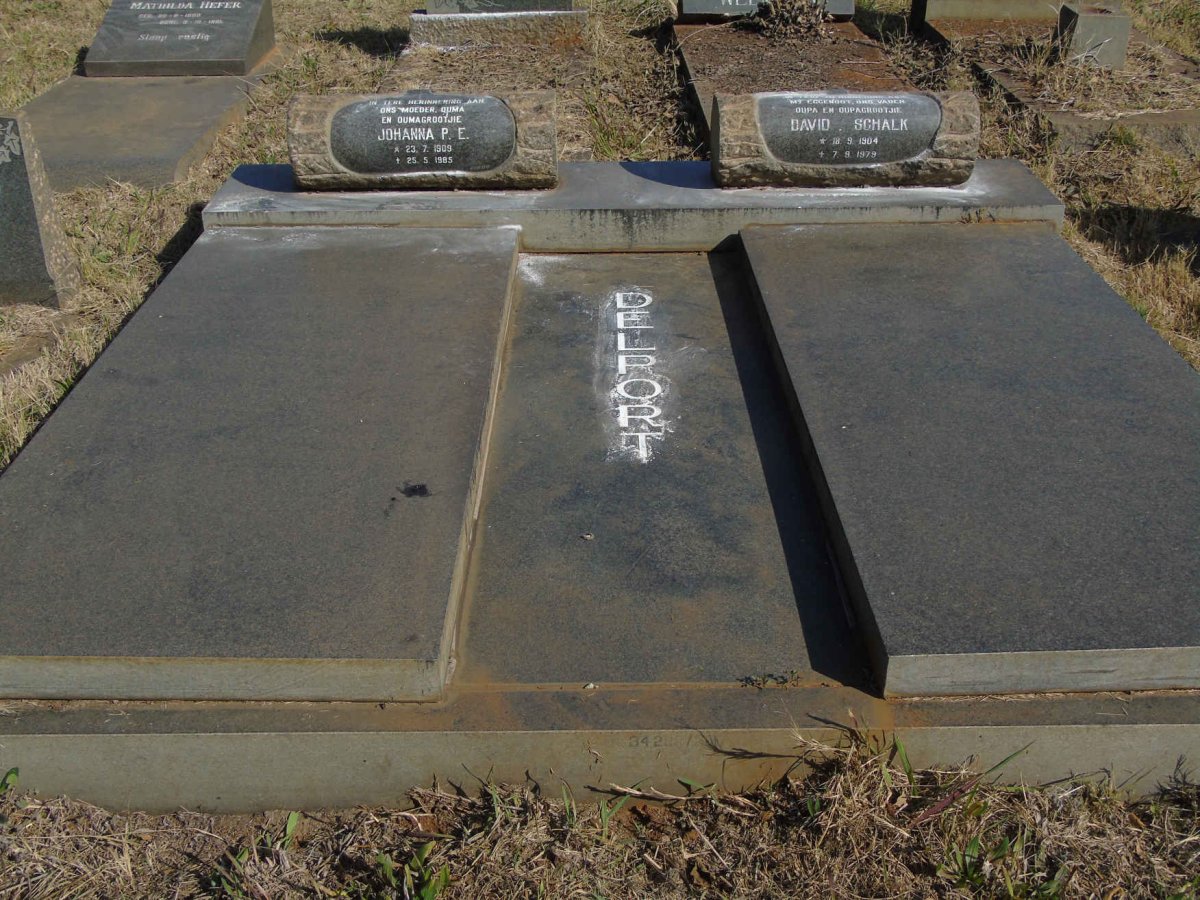 DELPORT David Schalk 1904-1979 &amp; Johanna P.E. 1909-1985