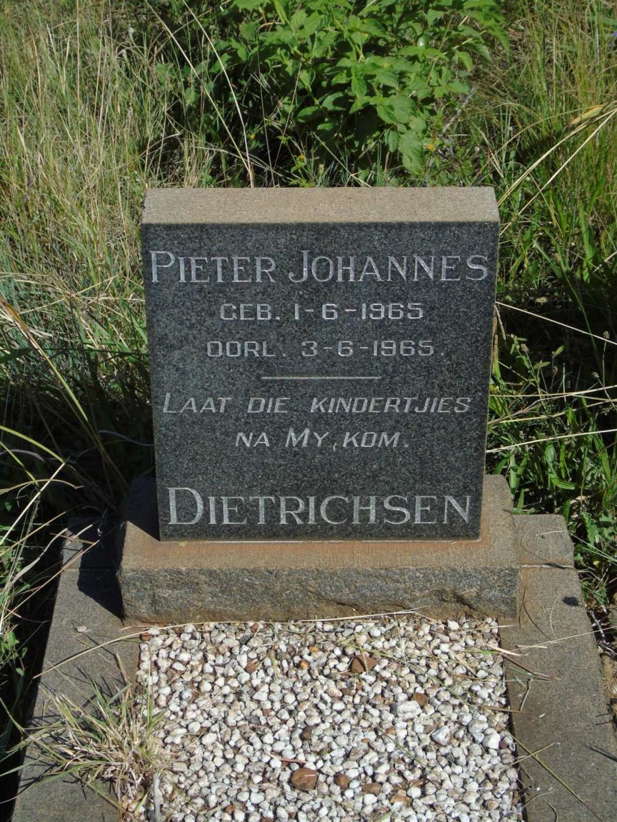 DIETRICHSEN Pieter Johannes 1965-1965
