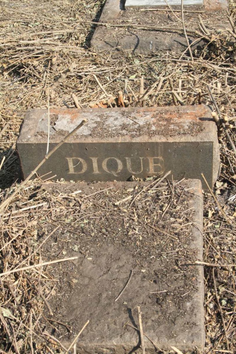 DIQUE 