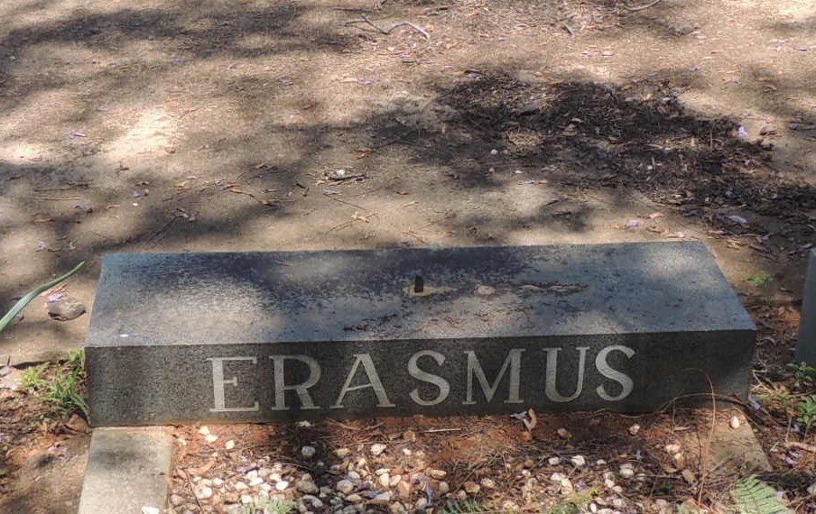 ERASMUS ?