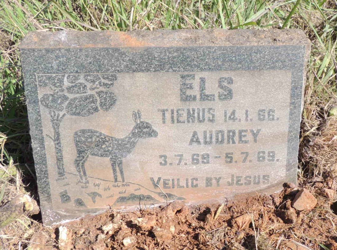 ELS Tienus -1966 :: ELS Audrey 1969-1969