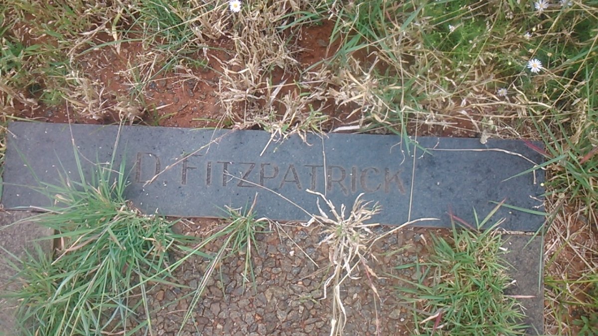 FITZPATRICK D.