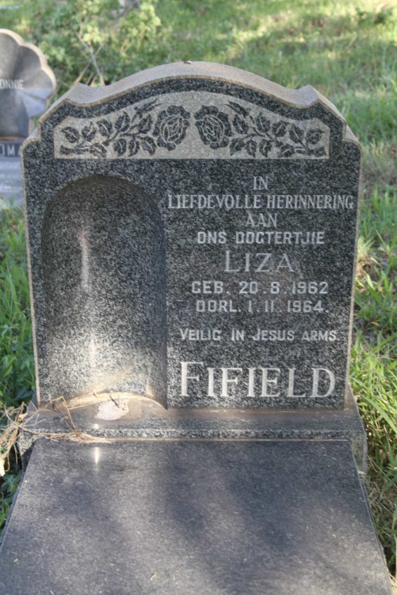 FIFIELD Liza 1962-1964