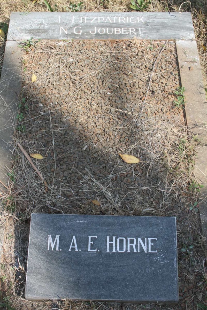 FITZPATRICK :: JOUBERT :: HORNE