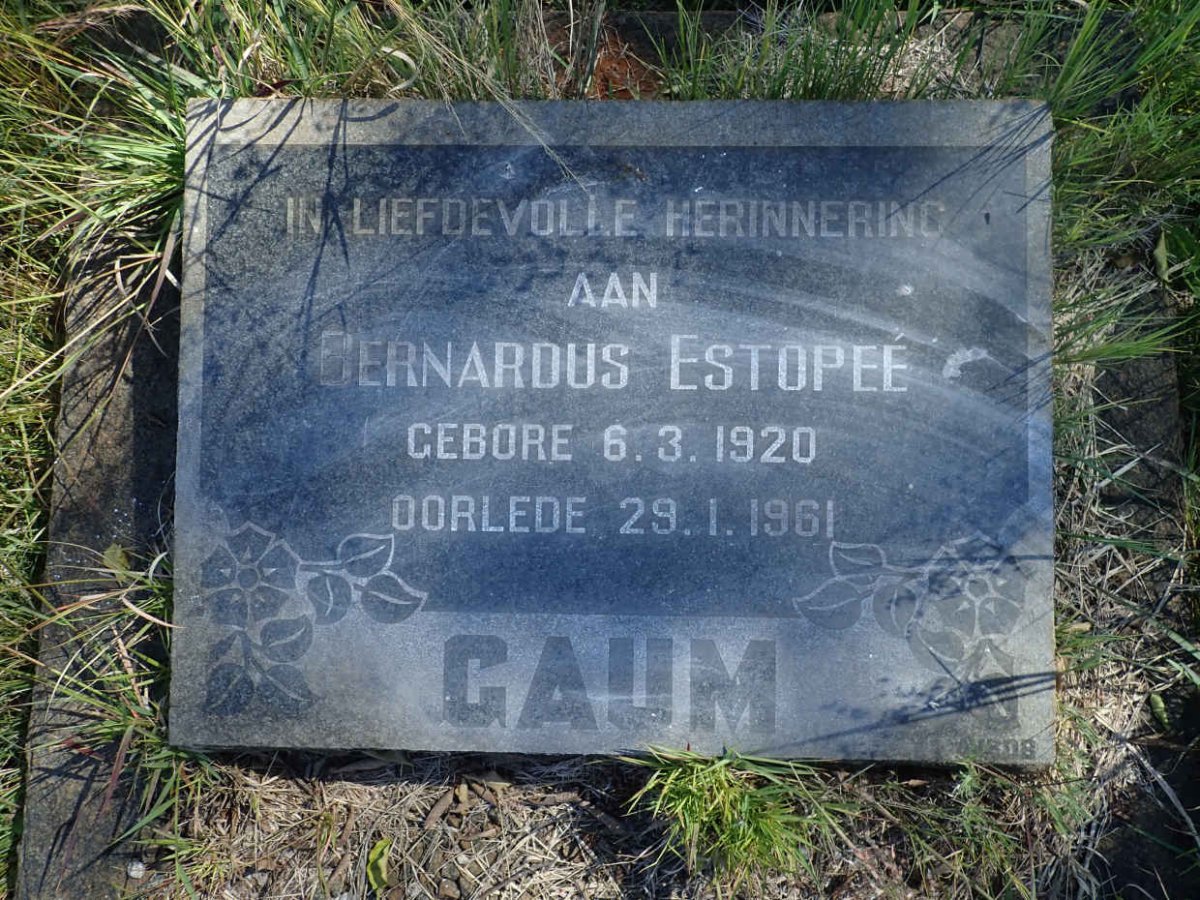GAUM Bernardus Estopee 1920-1961