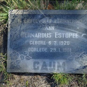 GAUM Bernardus Estopee 1920-1961