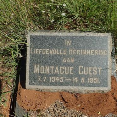 GUEST Montague 1945-1951