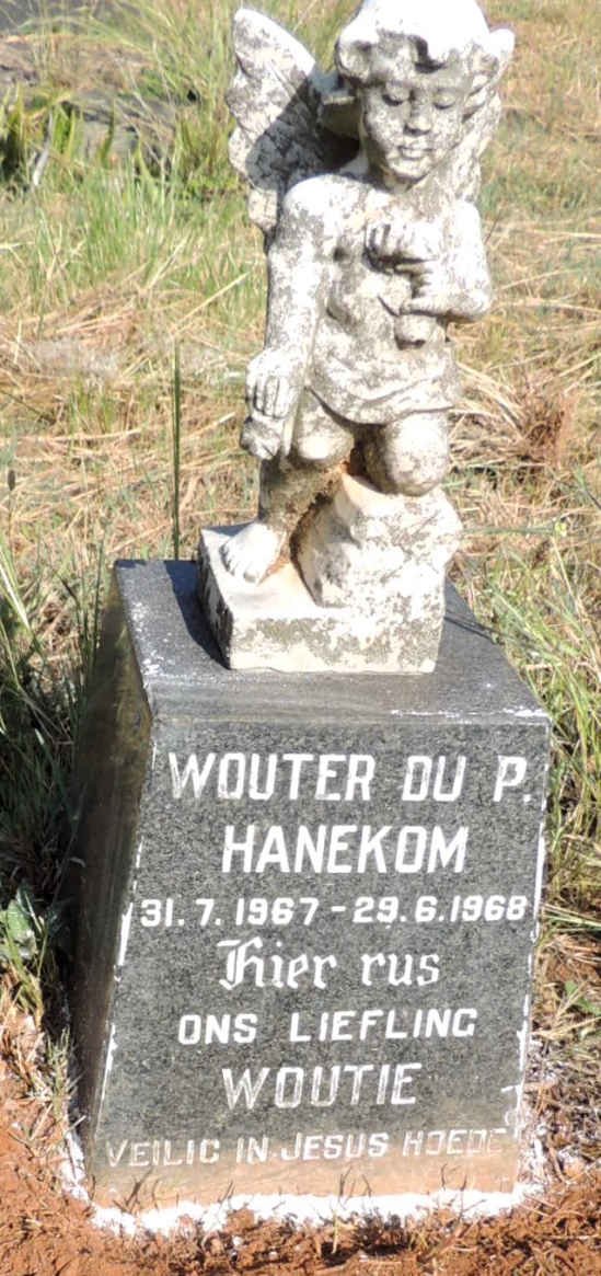HANEKOM Wouter Du P. 1967-1968