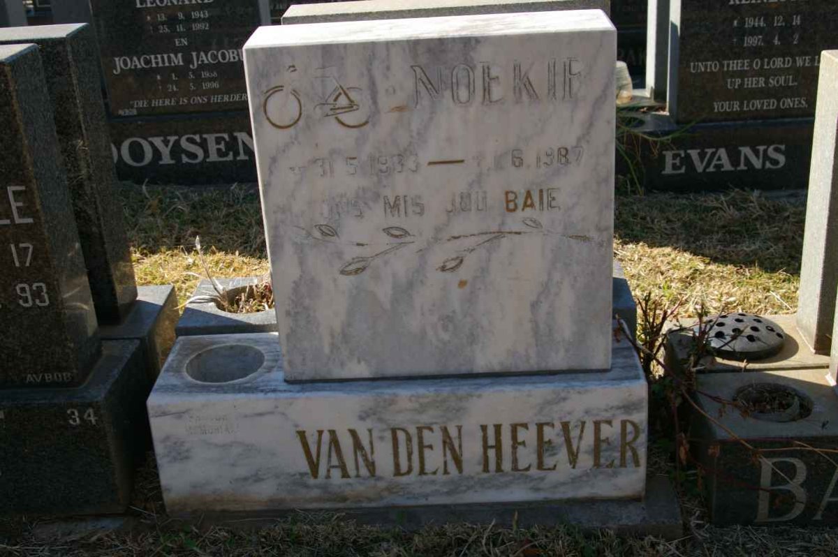 HEEVER Noekie, van den 1983-1987