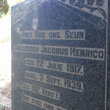 HENRICO Sallidoor Jacobus 1917-1939