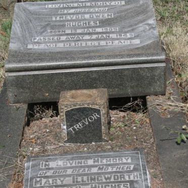 ILLINGWORTH Mary 1876-1960 :: HUGHES Trevor Owen 1905-1949