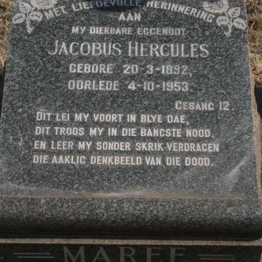 MAREE Jacobus Hercules 1892-1953