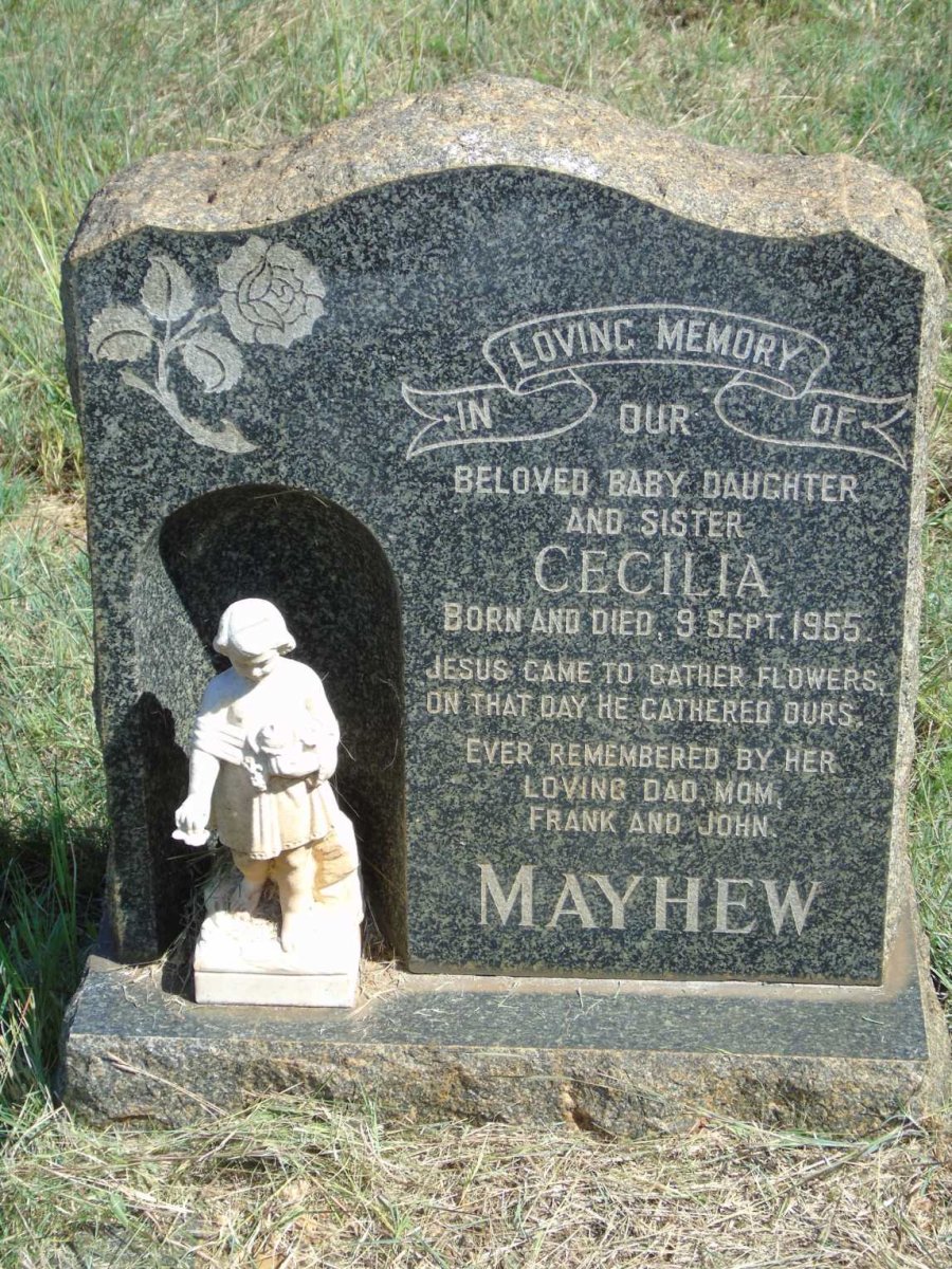 MAYHEW Cecilia 1955-1955