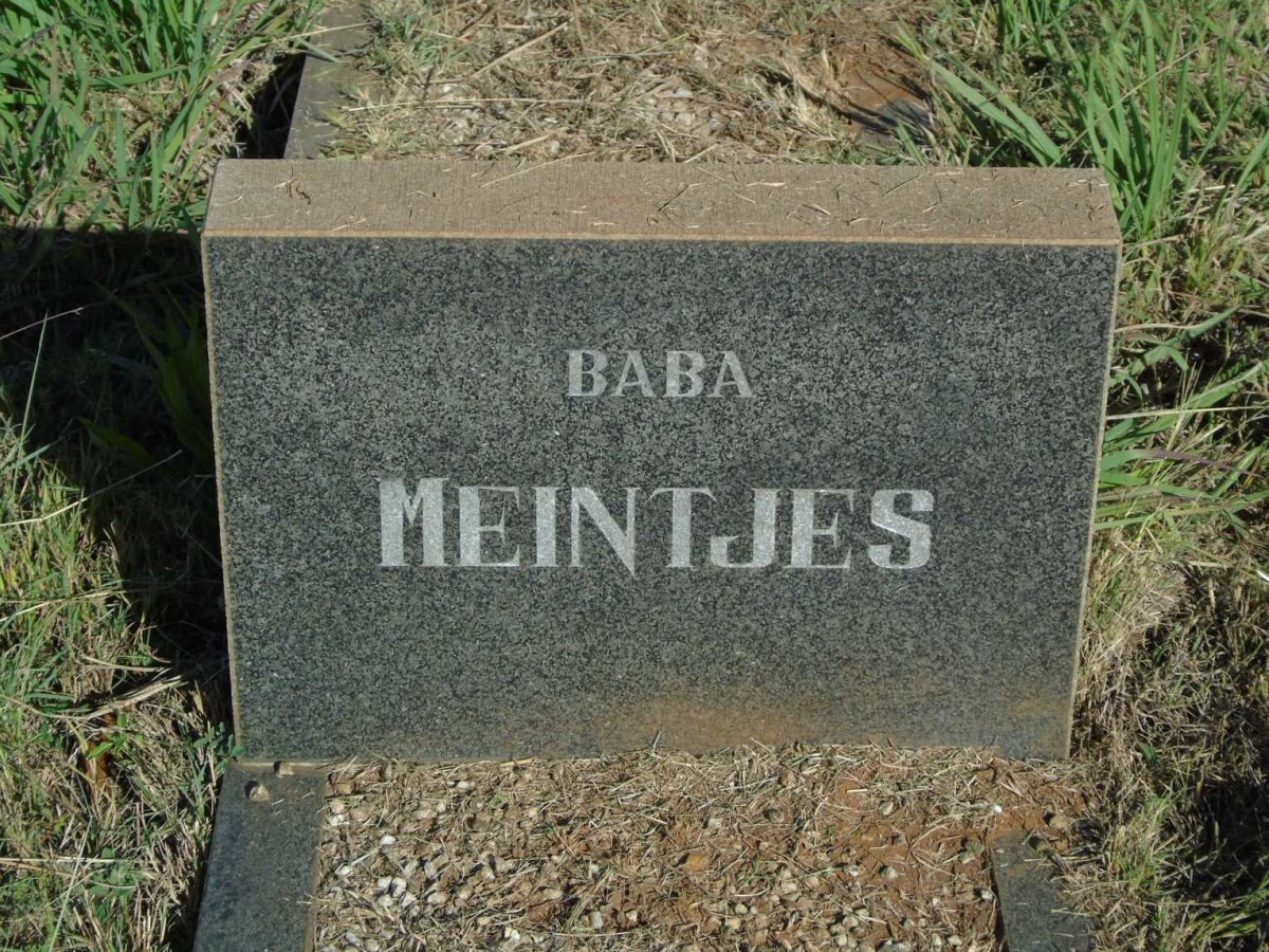 MEINTJES 