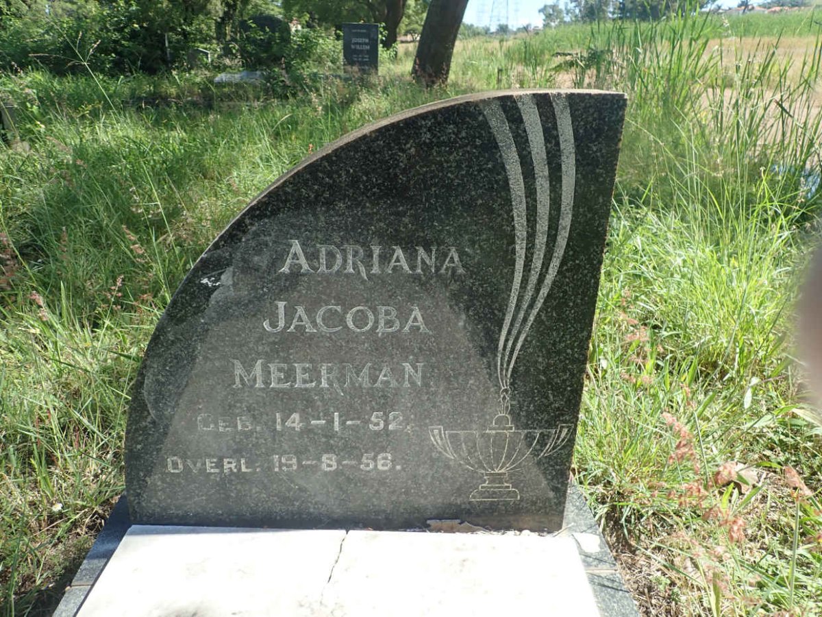 MEERMAN Adriana Jacoba 1952-1956