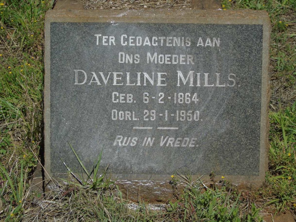 MILLS Daveline 1864-1950