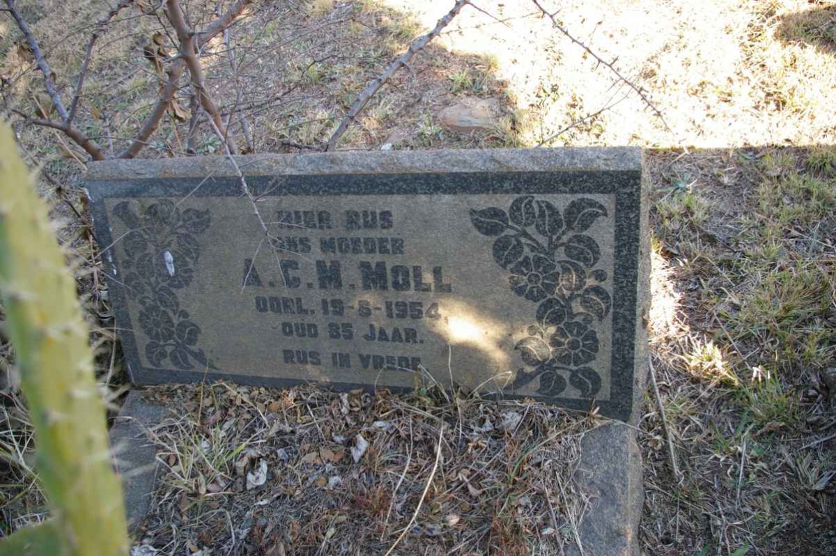 MOLL A.C.M. -1954