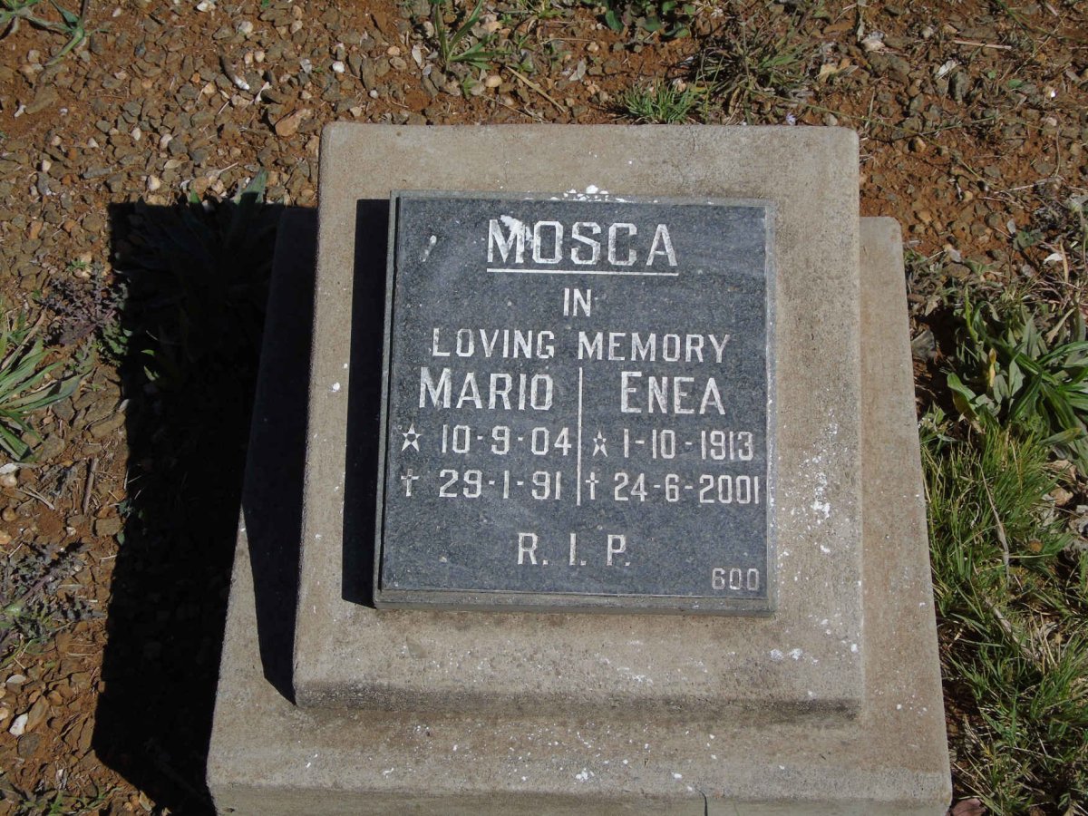 MOSCA Mario 1904-1991 &amp; Enea 1913-2001