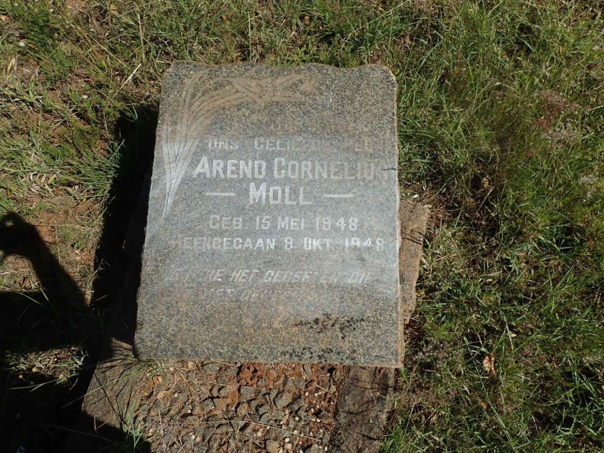 MOLL Arend Cornelius 1948-1948