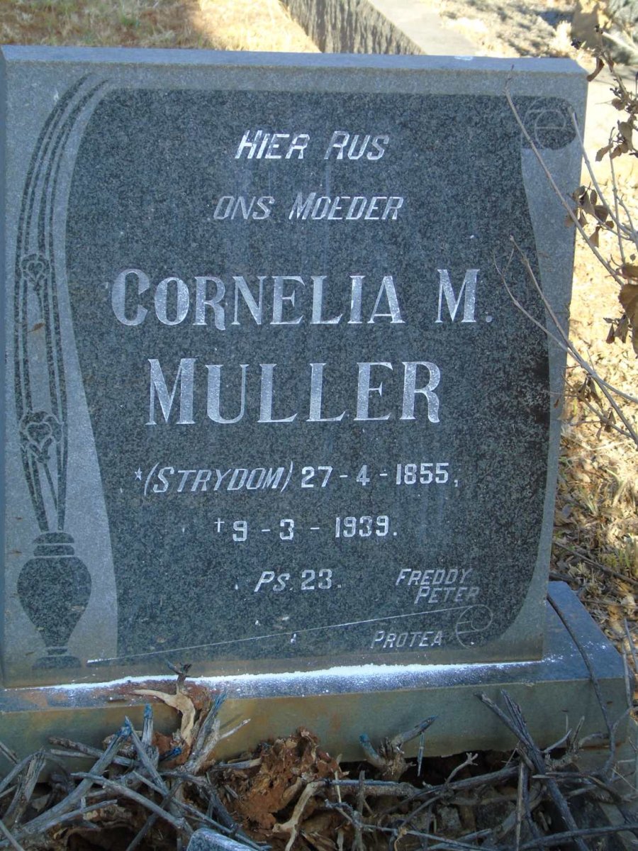 MULLER Cornelia M. nee STRYDOM 1855-1939