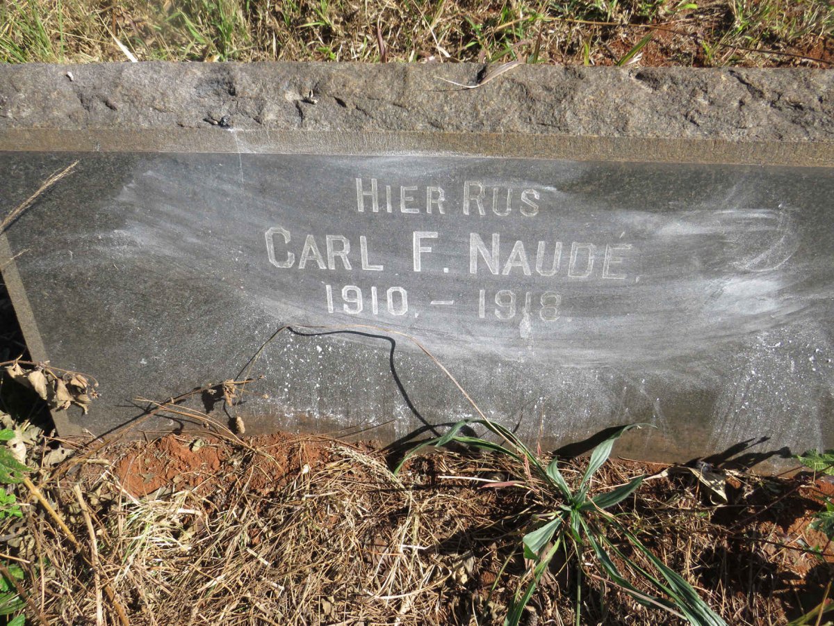 NAUDE Carl F. 1910-1918