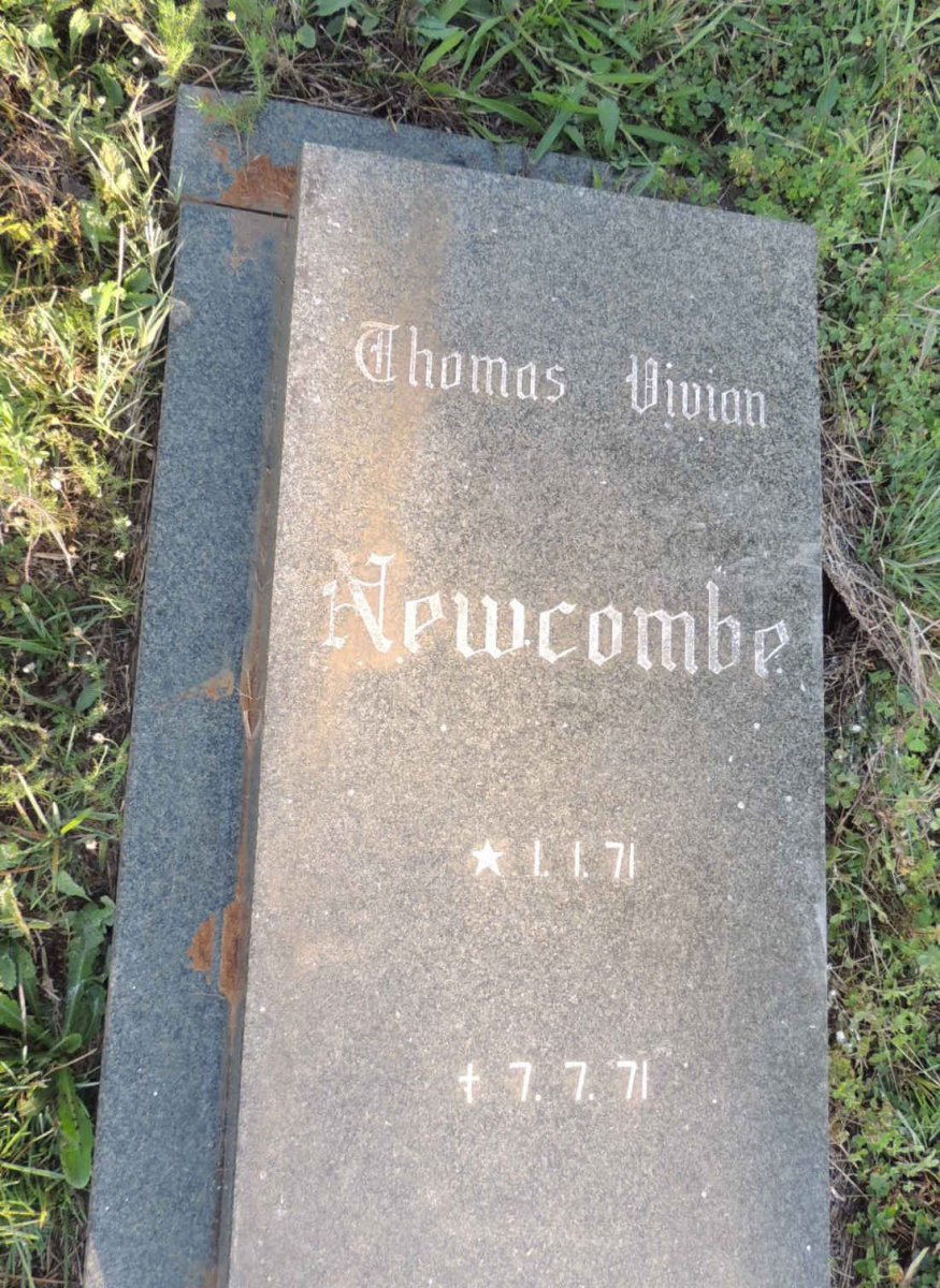 NEWCOMBE Thomas 1971-1971 :: NEWCOMBE Vivian 1971-1971