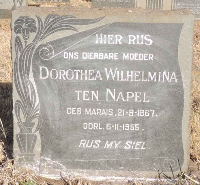 NAPEL Dorothea Wilhelmina, ten nee MARAIS 1867-1955