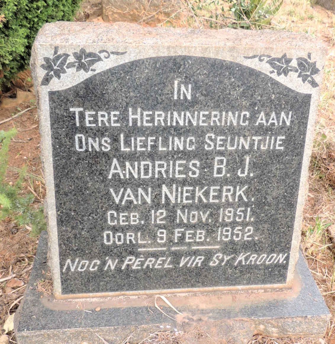 NIEKERK Andries B.J., van 1951-1952