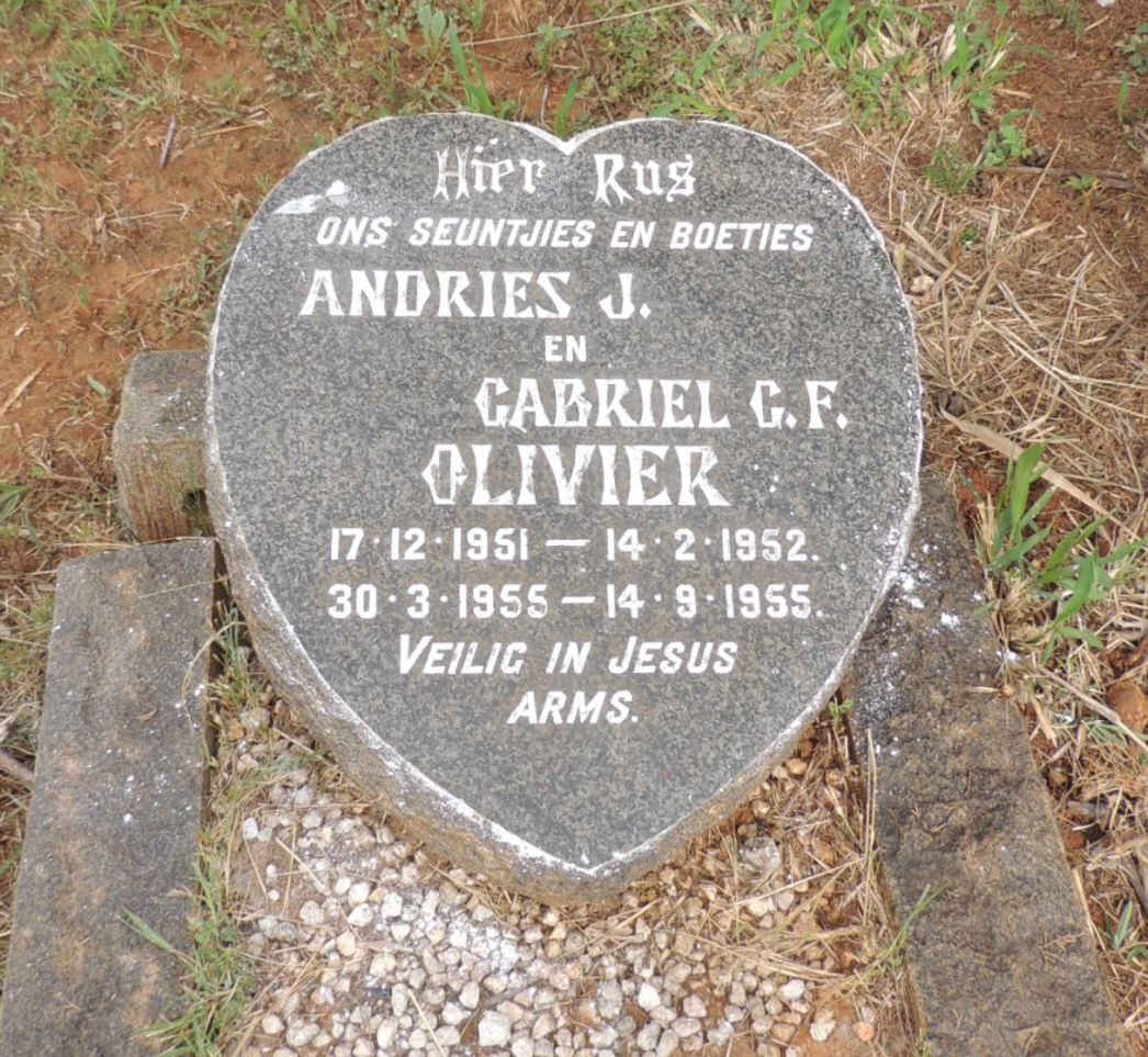 OLIVIER Andries J. 1951-1952 :: OLIVIER Gabriel G.F. 1955-1955