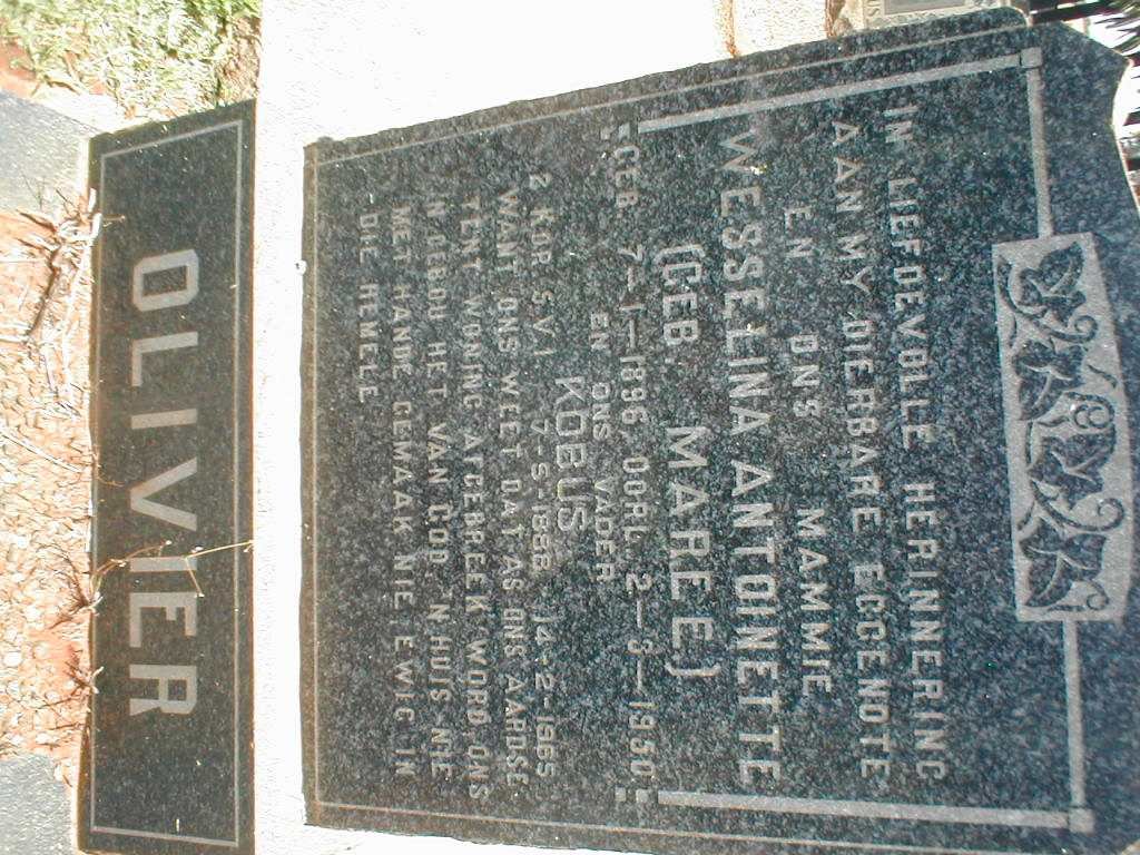 OLIVIER Kobus 1888-1965 &amp; Wesselina Antoinette MAREE 1896-1950