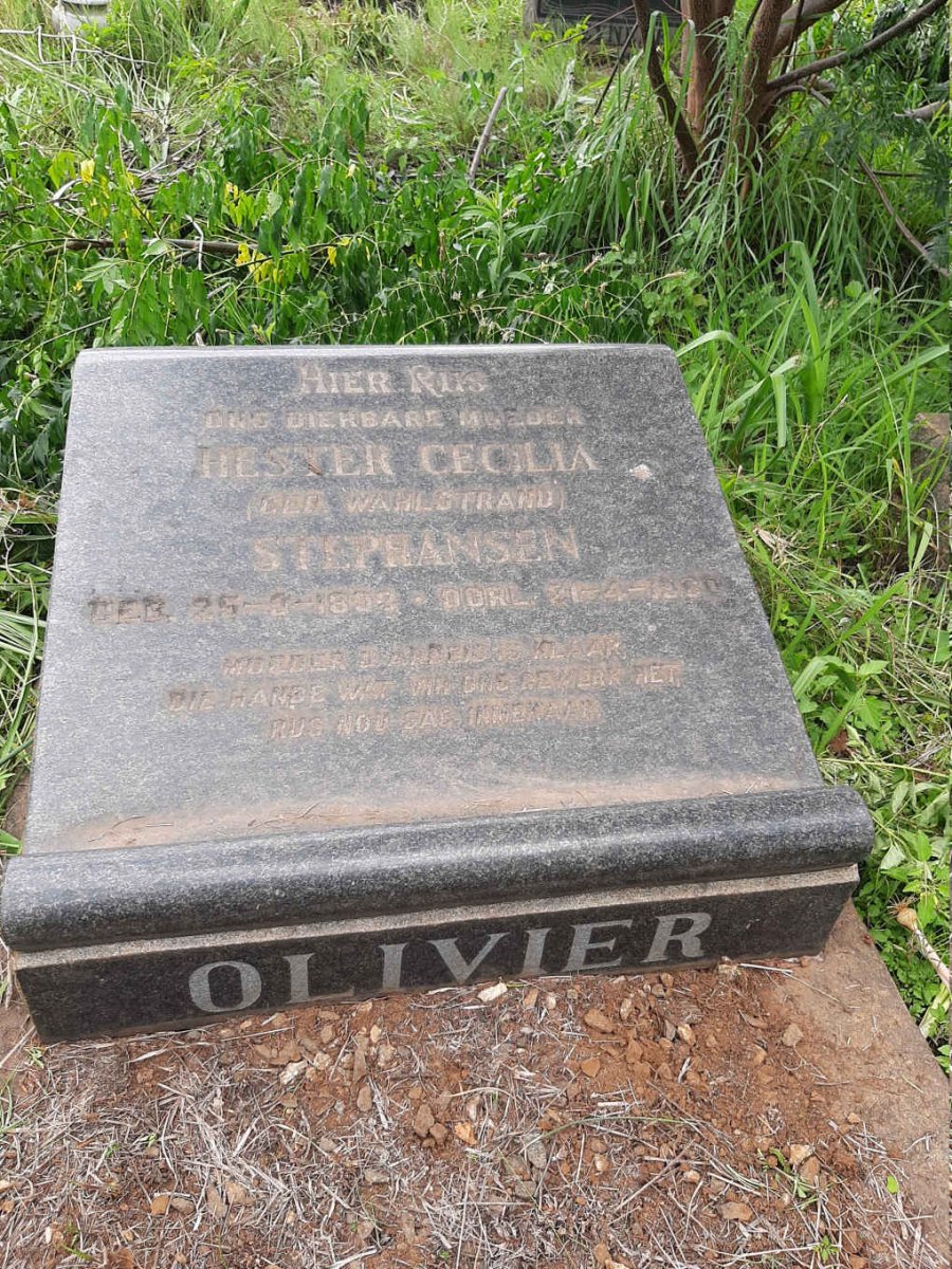 OLIVIER Hester Cecilia voorheen STEPHANSEN nee WAHLSTRAND 1893-1960