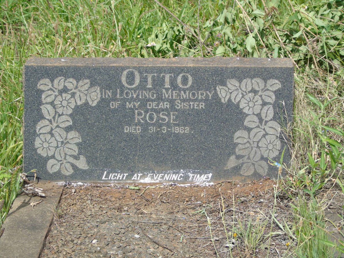 OTTO Rose -1962