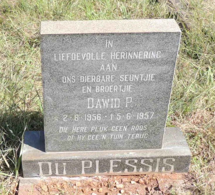 PLESSIS Dawid P., du 1956-1957