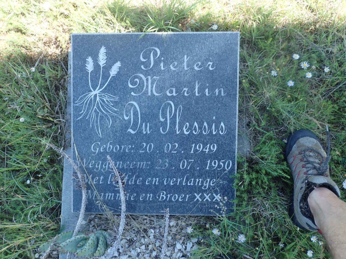 PLESSIS Pieter Martin, du 1949-1950