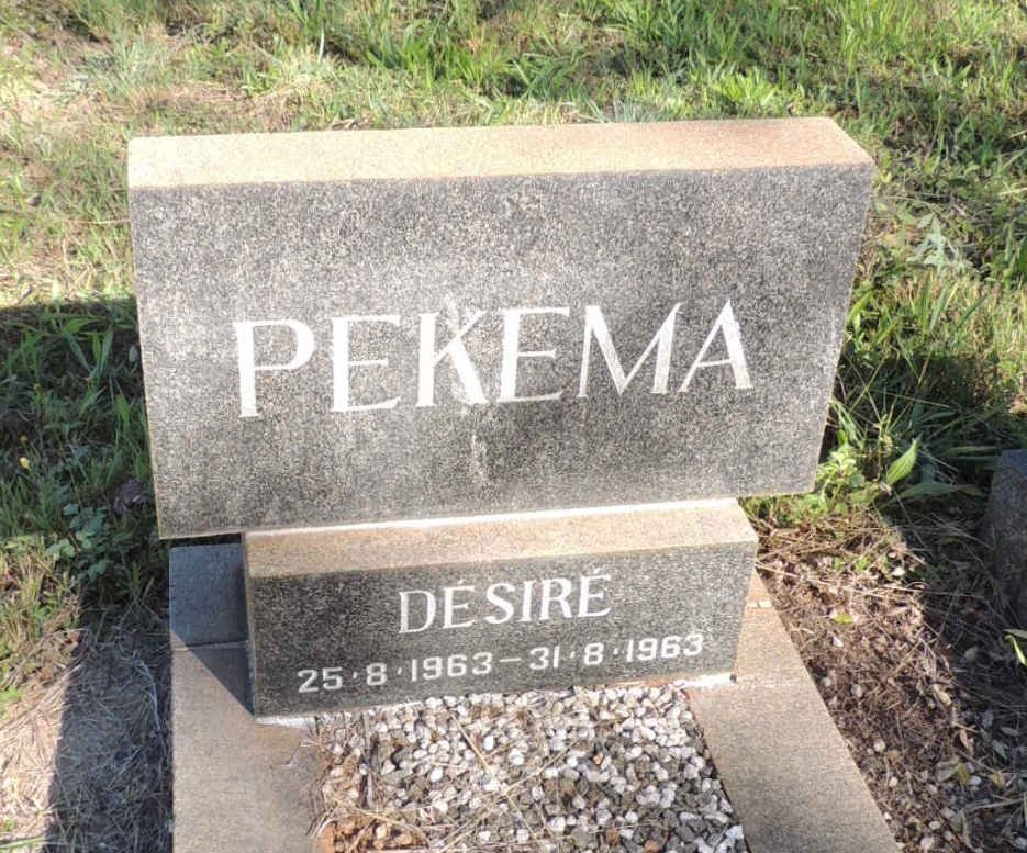 PEKEMA Desire 1963-1963