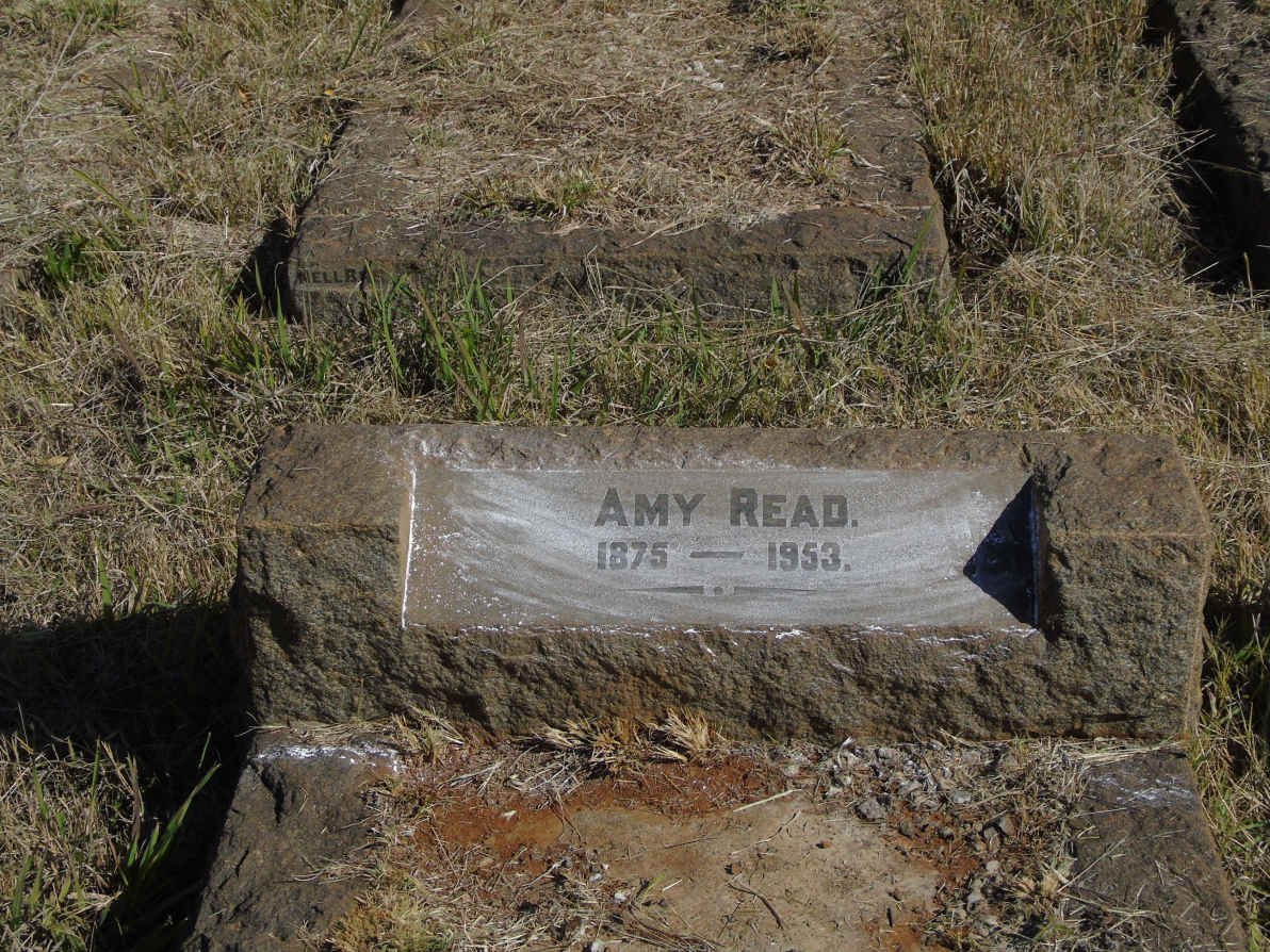 READ Amy 1875-1953
