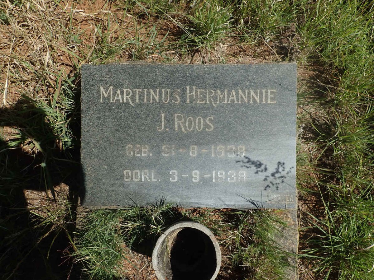 ROOS Martinus Hermannie J. 1938-1938