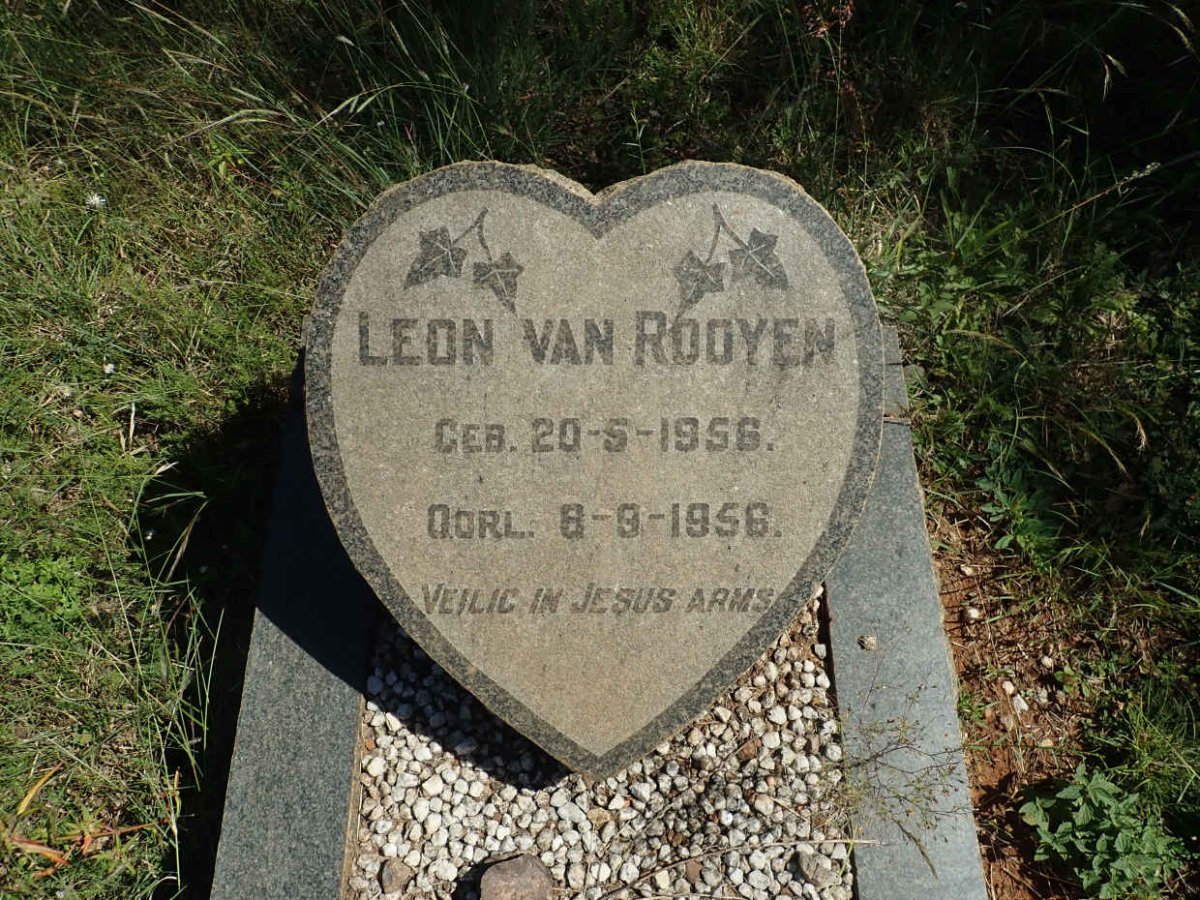 ROOYEN Leon, van 1956-1956