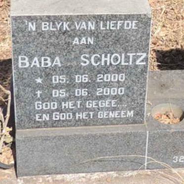 SCHOLTZ 2000-2000