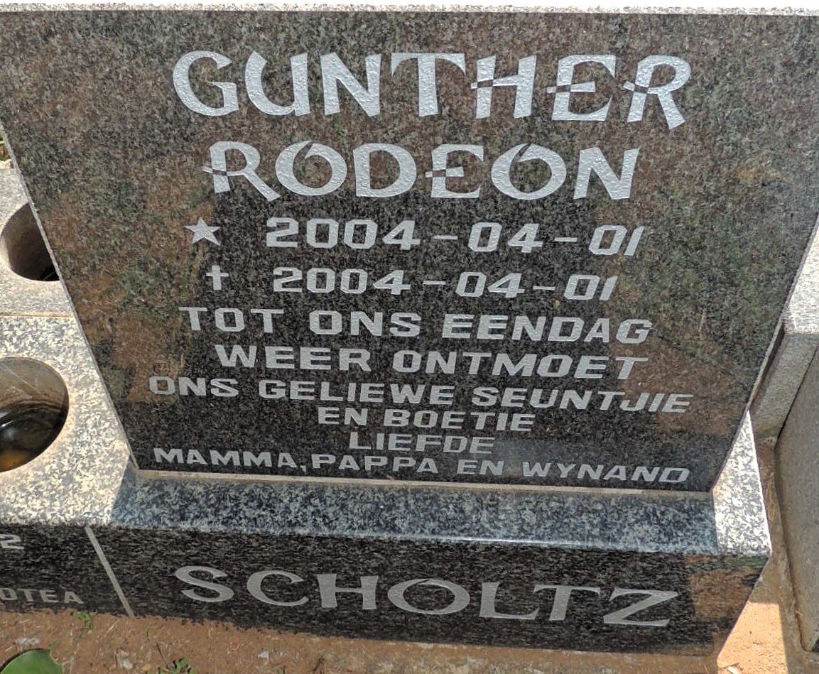 SCHOLTZ Gunter Rodeon 2004-2004
