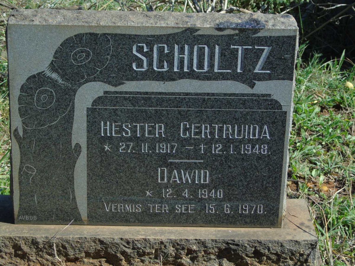 SCHOLTZ Hester Gertruida 1917-1948 :: SCHOLTZ Dawid 1940-1970
