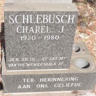 SCHLEBUSCH Charel J. 1920-1980