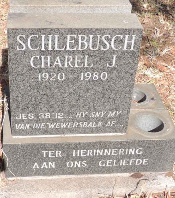 SCHLEBUSCH Charel J. 1920-1980