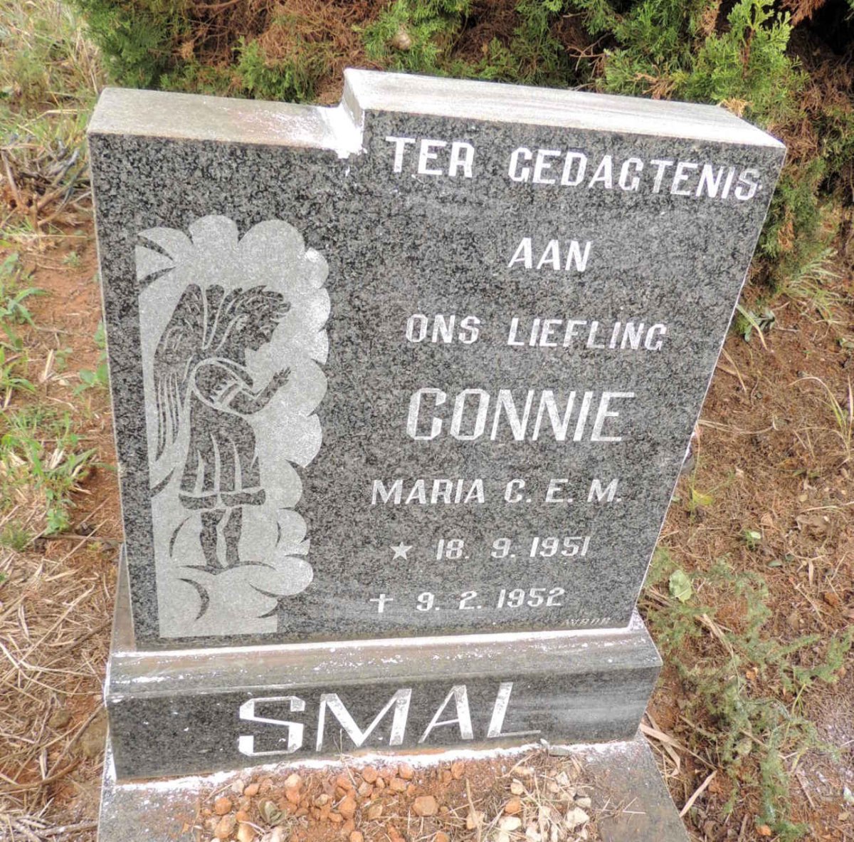 SMAL Maria C.E.M. 1951-1952