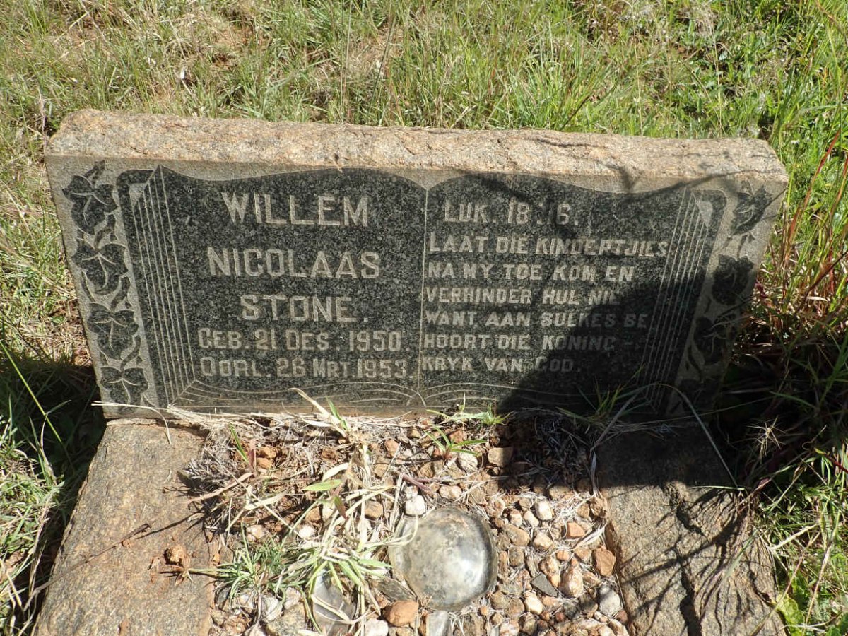 STONE Willem Nicolaas 1950-1953