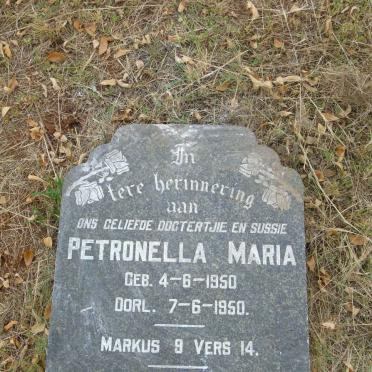 STEYN Petronella Maria 1950-1950_2