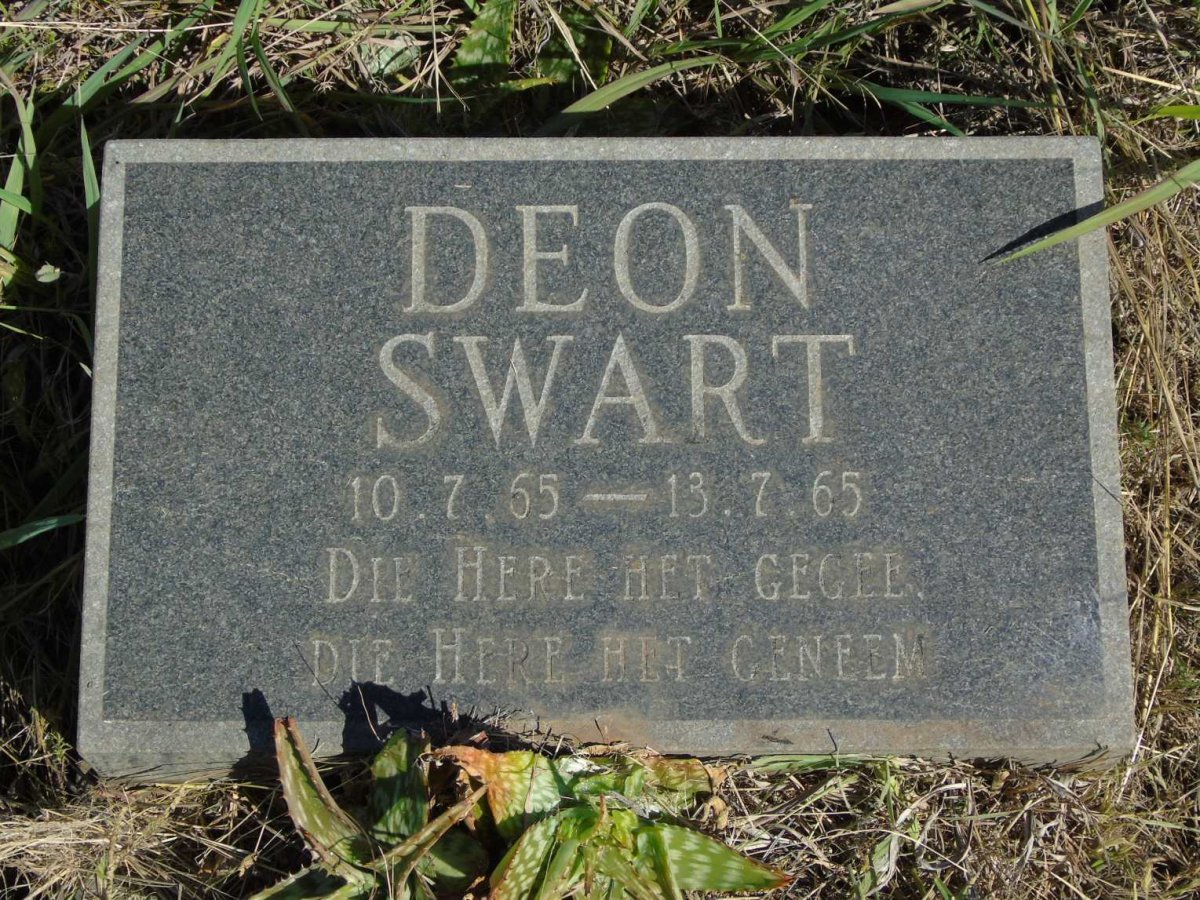 SWART Deon 1965-1965