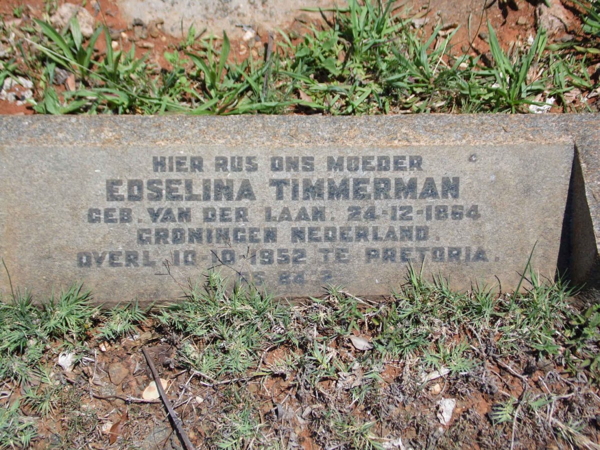 TIMMERMAN Edselina nee VAN DER LAAN 1864-1952
